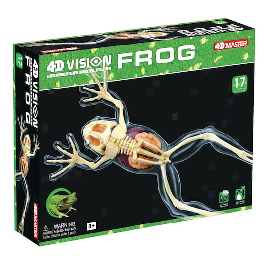 4D Vision™ Full Skeleton Frog Model By 4D Master | Michaels®